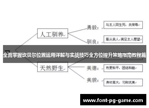 全面掌握坎贝尔位置运用详解与实战技巧全方位提升策略指南教程篇