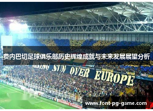 费内巴切足球俱乐部历史辉煌成就与未来发展展望分析