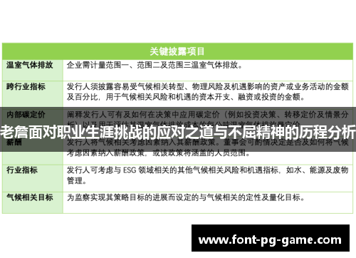 老詹面对职业生涯挑战的应对之道与不屈精神的历程分析