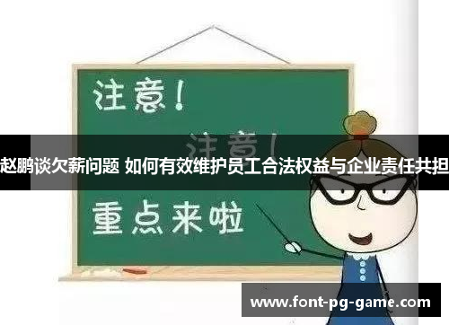 赵鹏谈欠薪问题 如何有效维护员工合法权益与企业责任共担